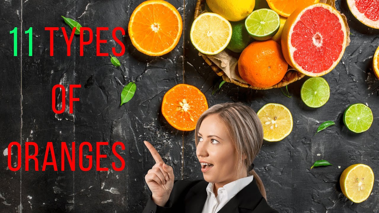 THE 11 BEST TYPES OF ORANGES