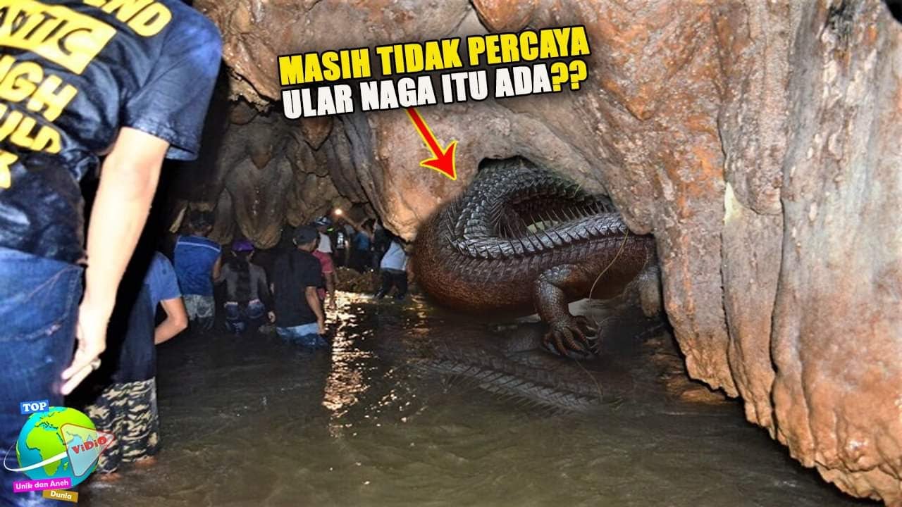 Ngeri !! Ditemukan Sarang Siluman Ular Naga di Dalam Goa,  Warga Juga Melihat Ada Perkumpulan Jin...