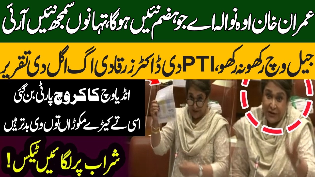 Dr. Zarqa&rsquo;s Powerful Speech Shakes the Senate | PTI vs Government | Pakistan News