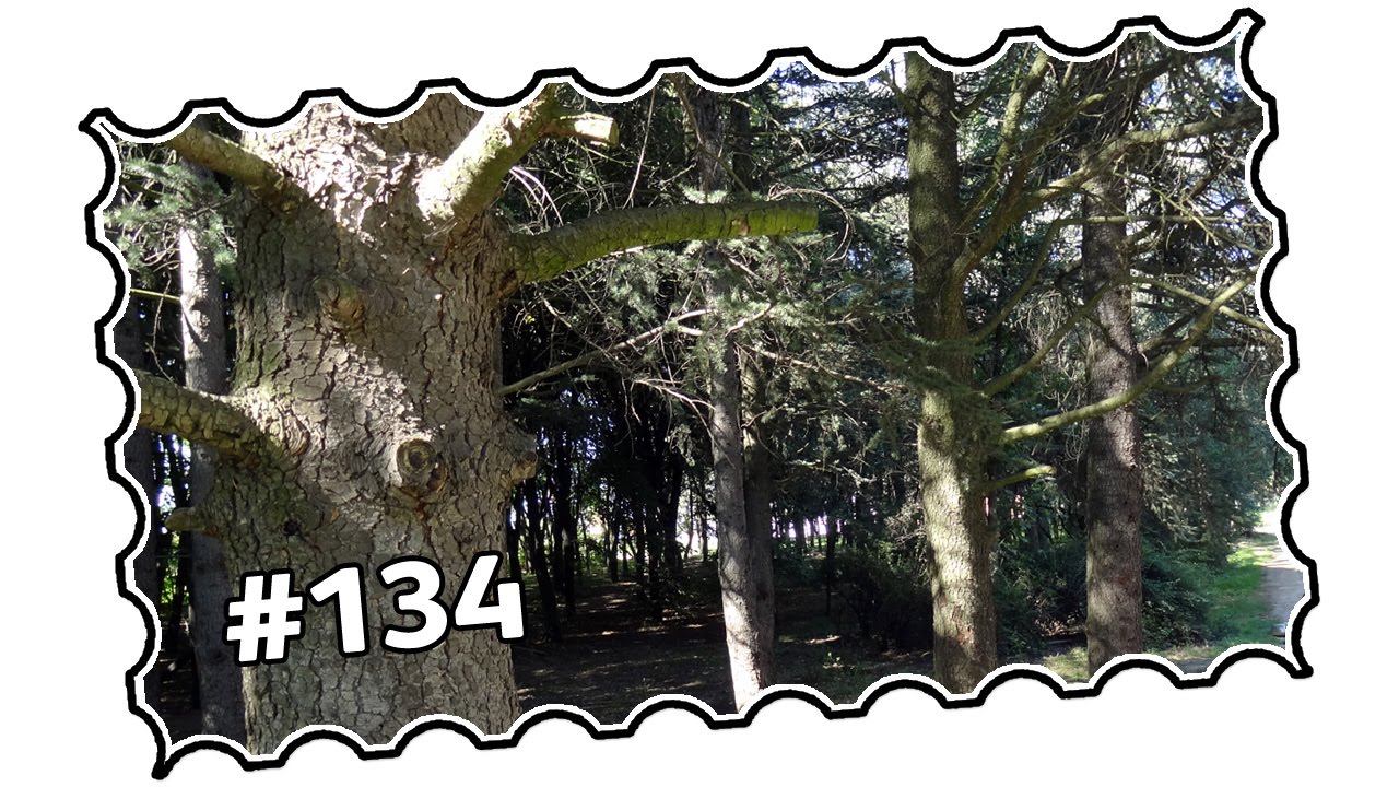 #134 - Serbia, Belgrade area - Labudovo brdo and Petlovo brdo (08/2014)