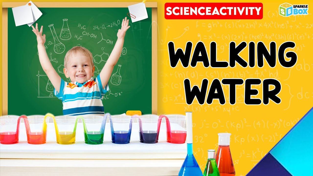 Walking Water #chemistryactivity #chemistry #sparkleboxkit #scienceactivity #sparklebox