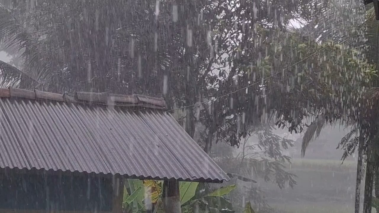 Не можете уснуть? Звуки сильного дождя сегодня вечером 🌧️ Засыпайте за считанные минуты