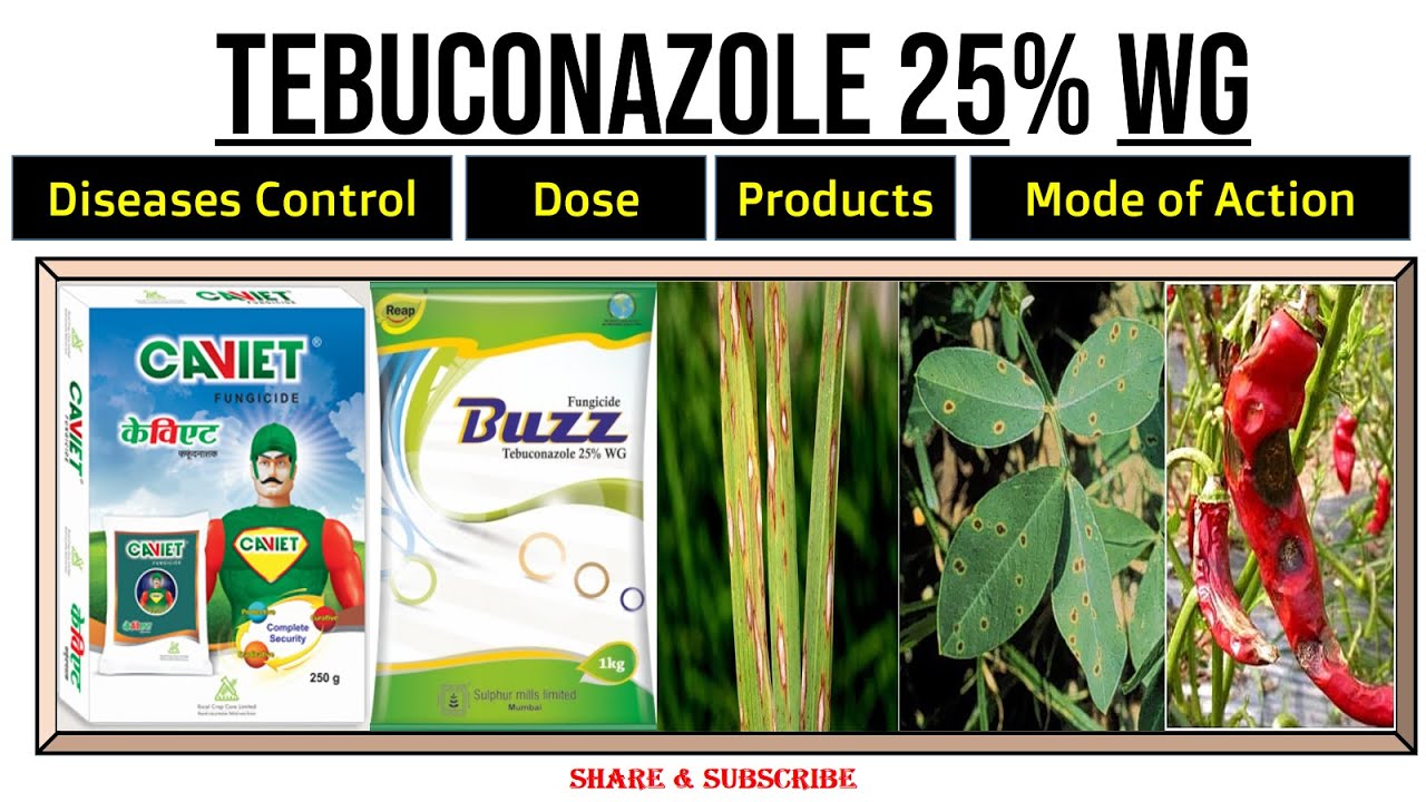 Tebuconazole 25% WG । Uses । Dose । For Which Diseases । Mode of Action ।