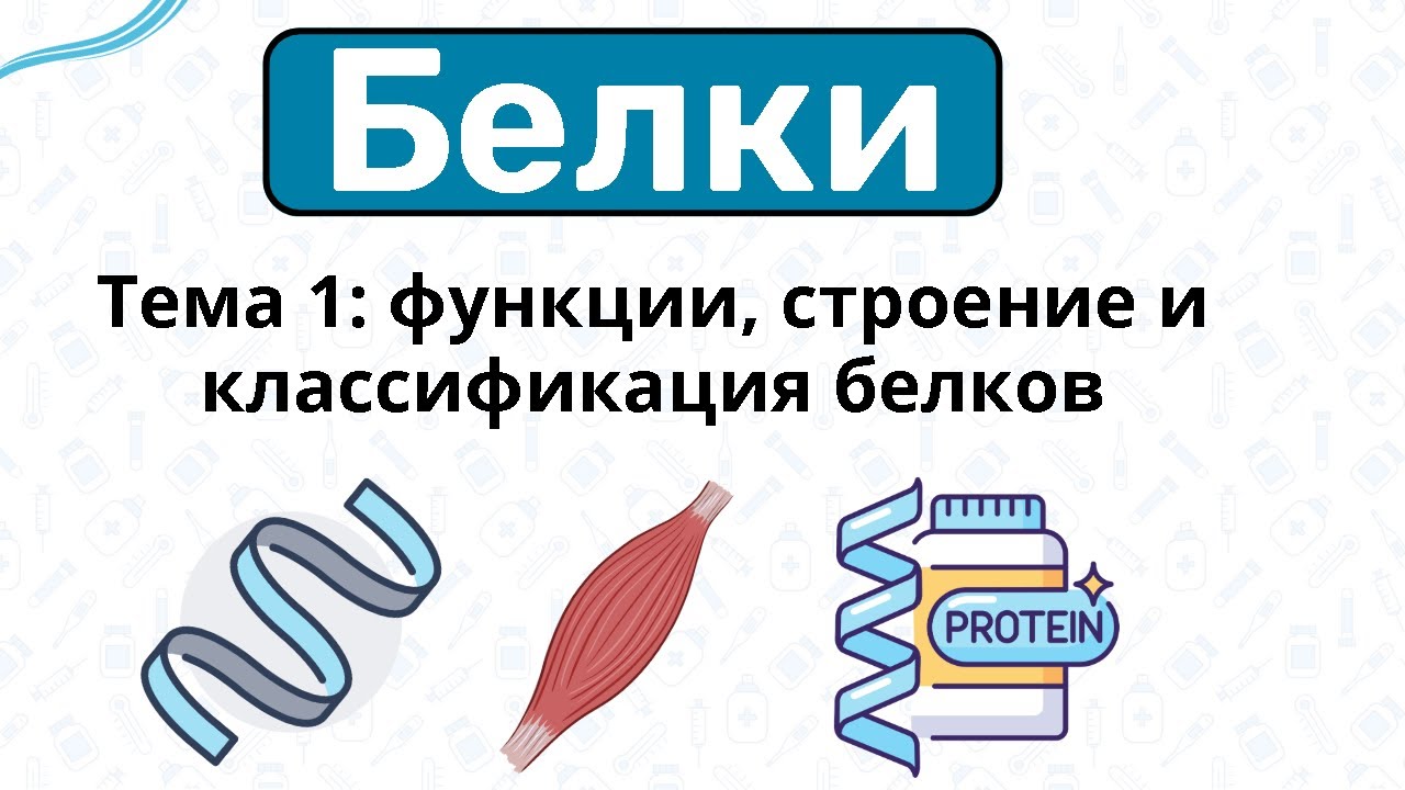 БЕЛКИ: строение, функции, классификация, аминокислоты / Биохимия