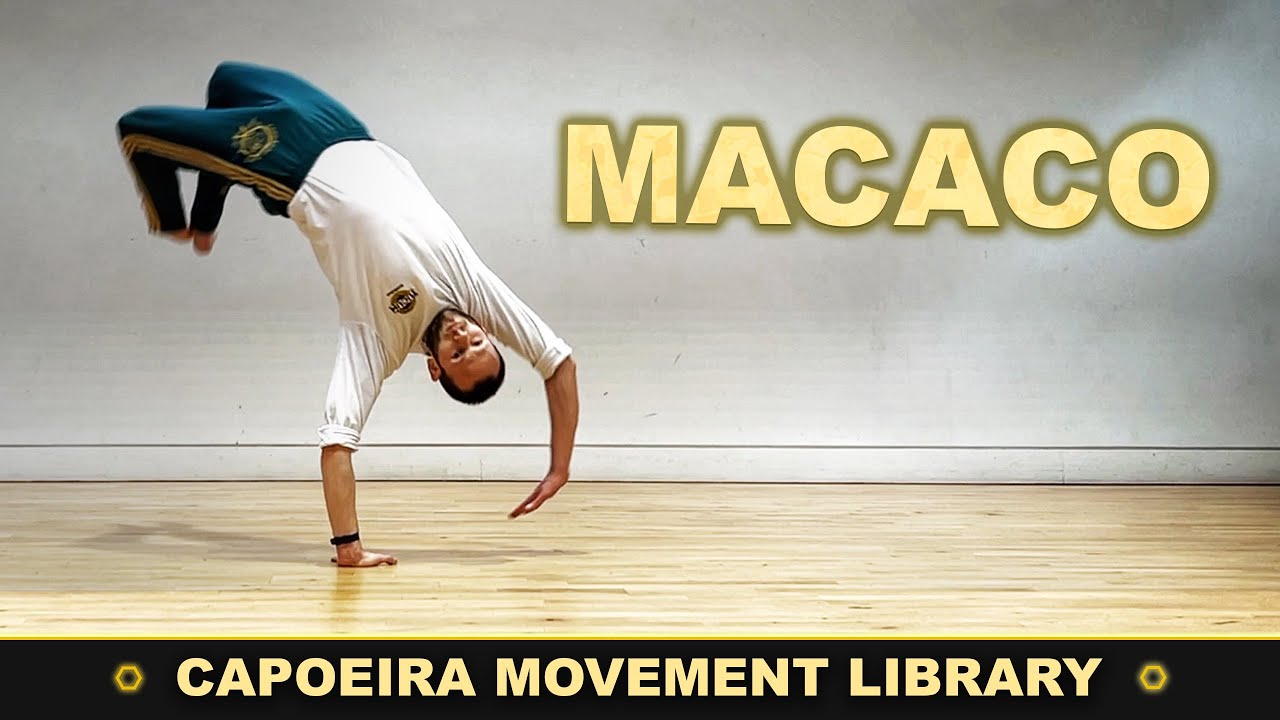 Macaco | CAPOEIRA MOVEMENT LIBRARY