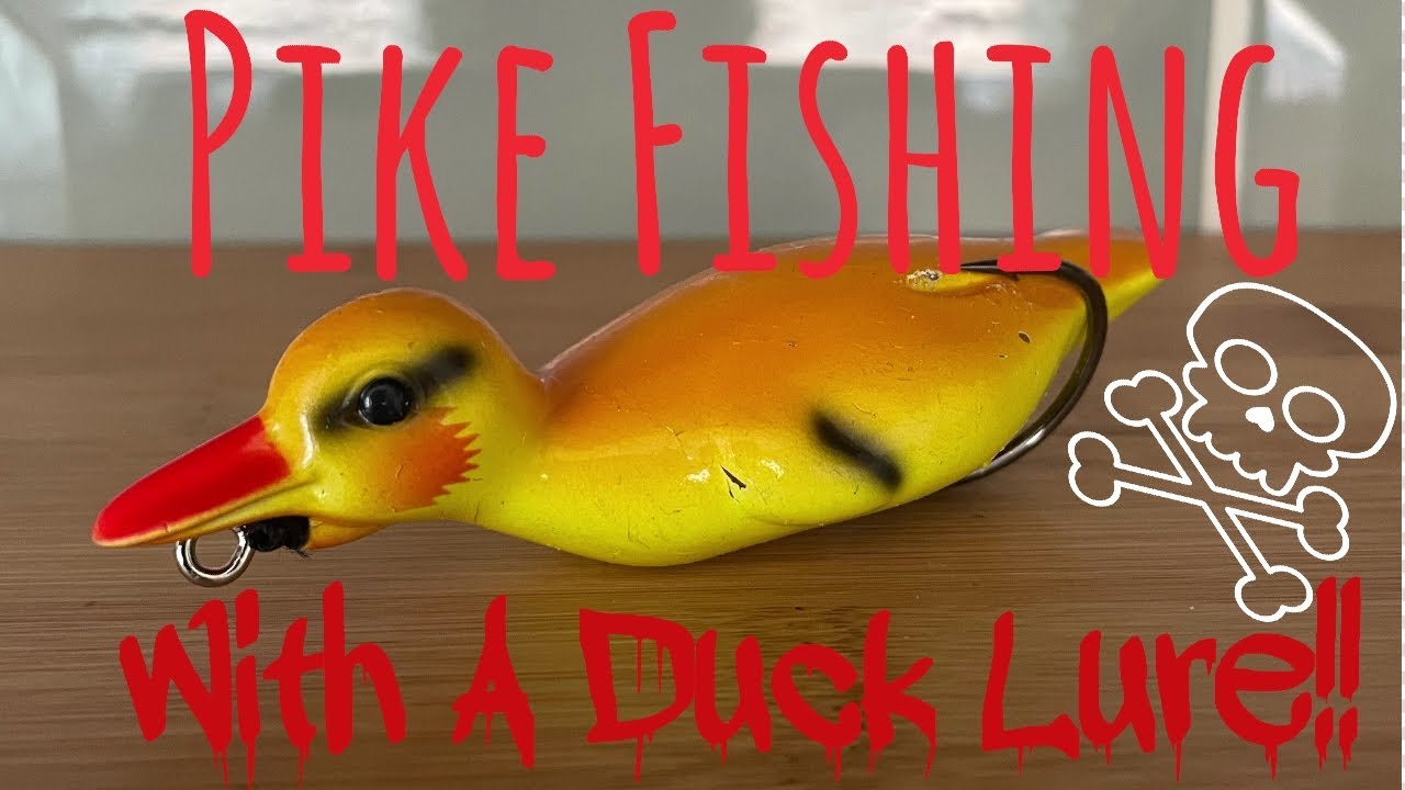 Pike Fishing With Duck Lure 🐥