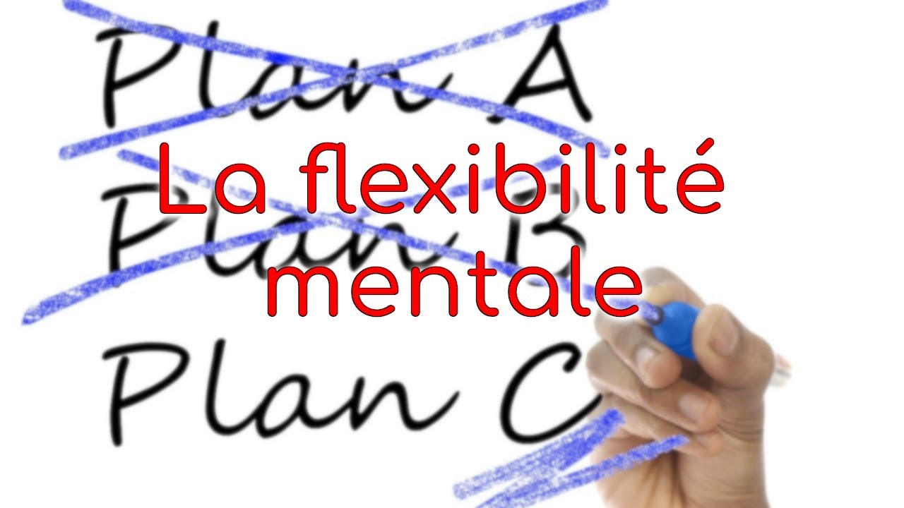 Fonctions Exécutives : La flexibilité mentale 3/3