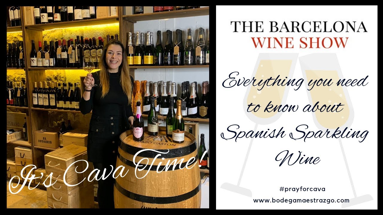 CAVA 101! EVERYTHING you need to know about Spain's Famous Sparkling Wine! Facts & Top Tips!