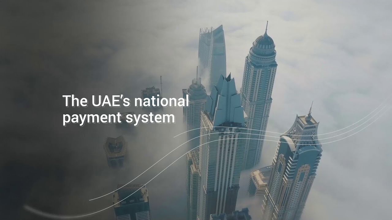 eDirham - Digitizing the Government Payments
