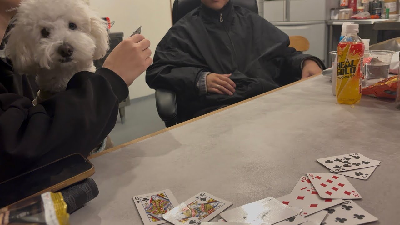 トランプしてたら、、、