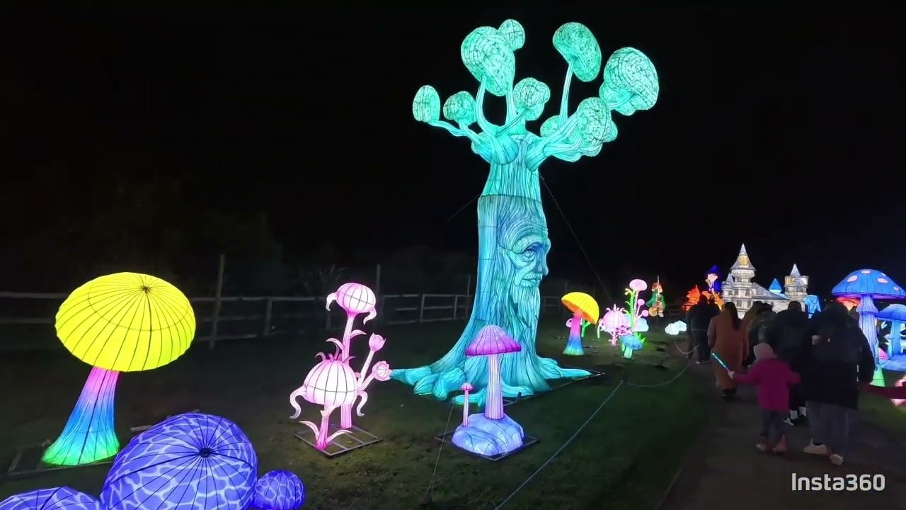 Winter illuminations 2025 Yorkshire Wildlife Park Doncaster 
