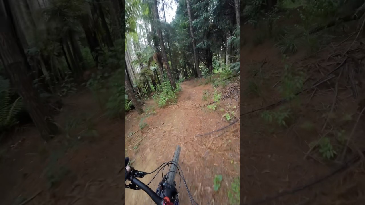 📍Pirongia mtb park, skill track. 