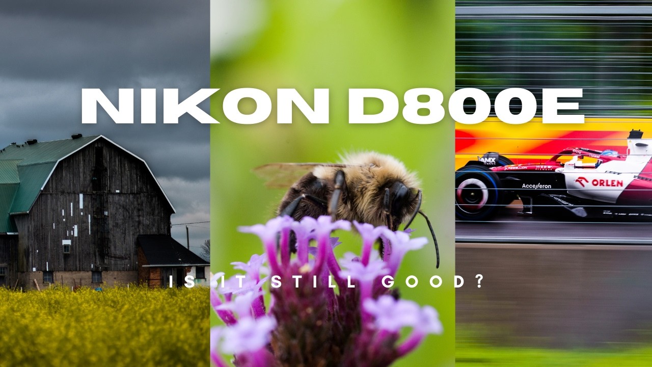 Is the Nikon D800/D800e Still good in 2026?