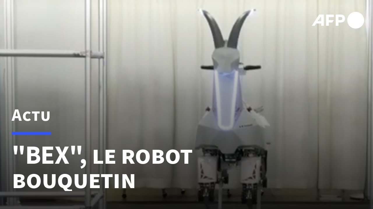 Un robot japonais en forme de chèvre pour aider les personnes âgées | AFP