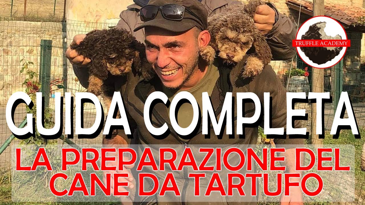 CANE DA TARTUFO. Guida Completa. La preparazione e Le simulazioni corrette.