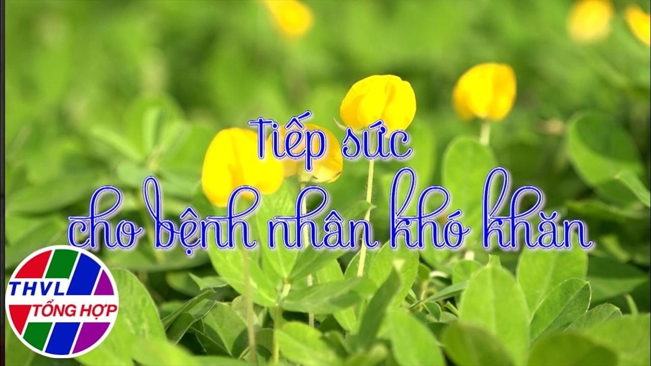 Hoa đẹp giữa đời thường: Tiếp sức cho bệnh nhân khó khăn