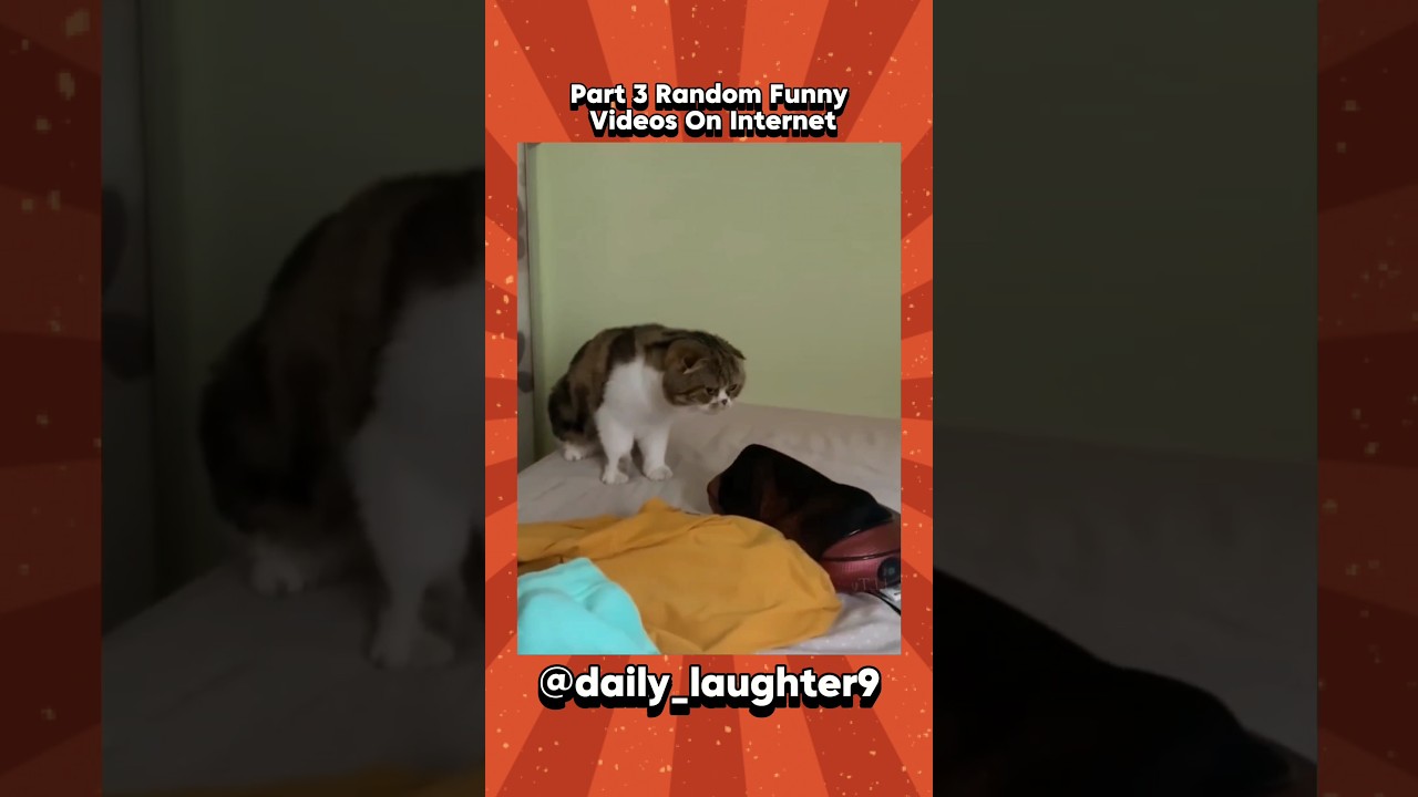 Part 3 | Random Funny Videos On Internet | 