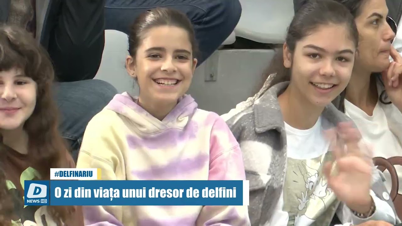 O zi din viața unui dresor de delfini
