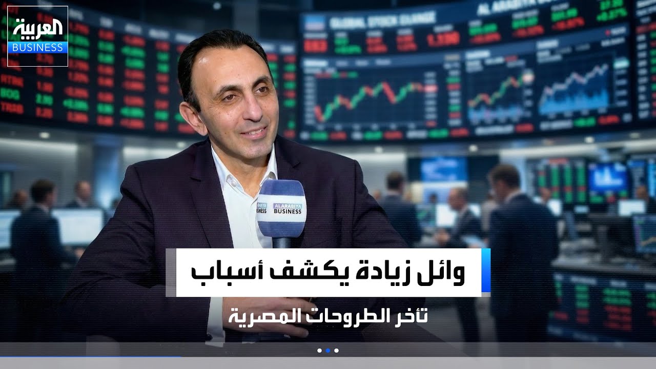 وائل زيادة يوضح تحديات تقييم الطروحات المصرية