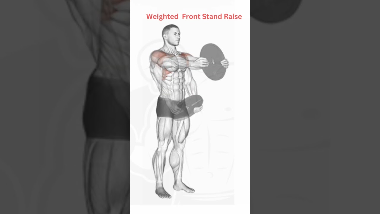 Best Best # Shoulder # #Exercise ## Weighted Front Stand Raise ##3D Animation Video#