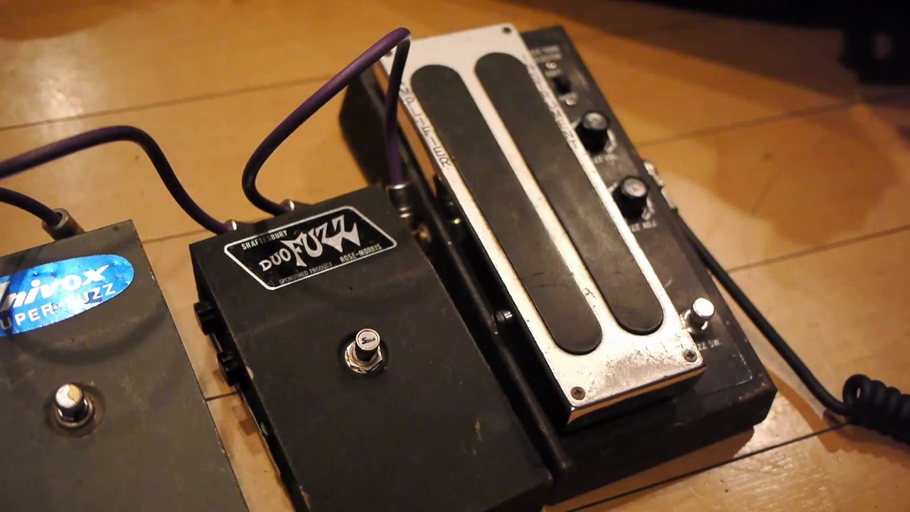 Shin-ei Fuzz family