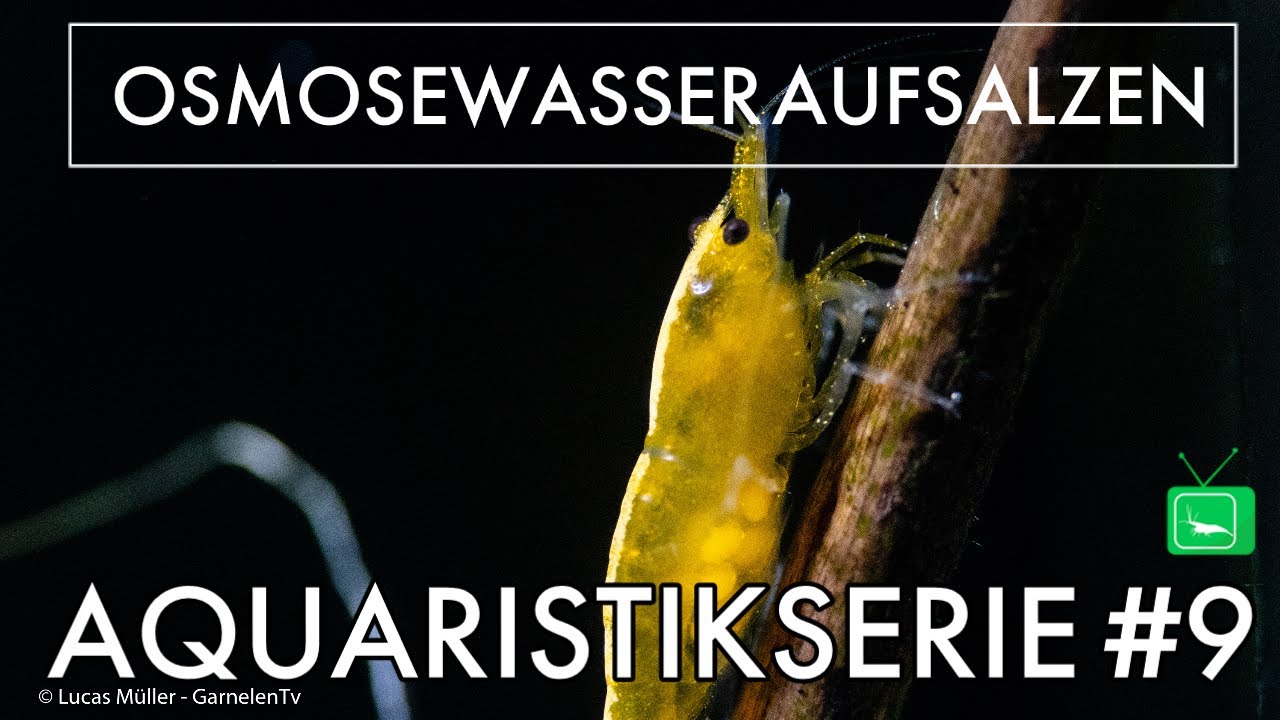 OSMOSEWASSER AUFSALZEN | #OSMOSWASSER #9 | GarnelenTv
