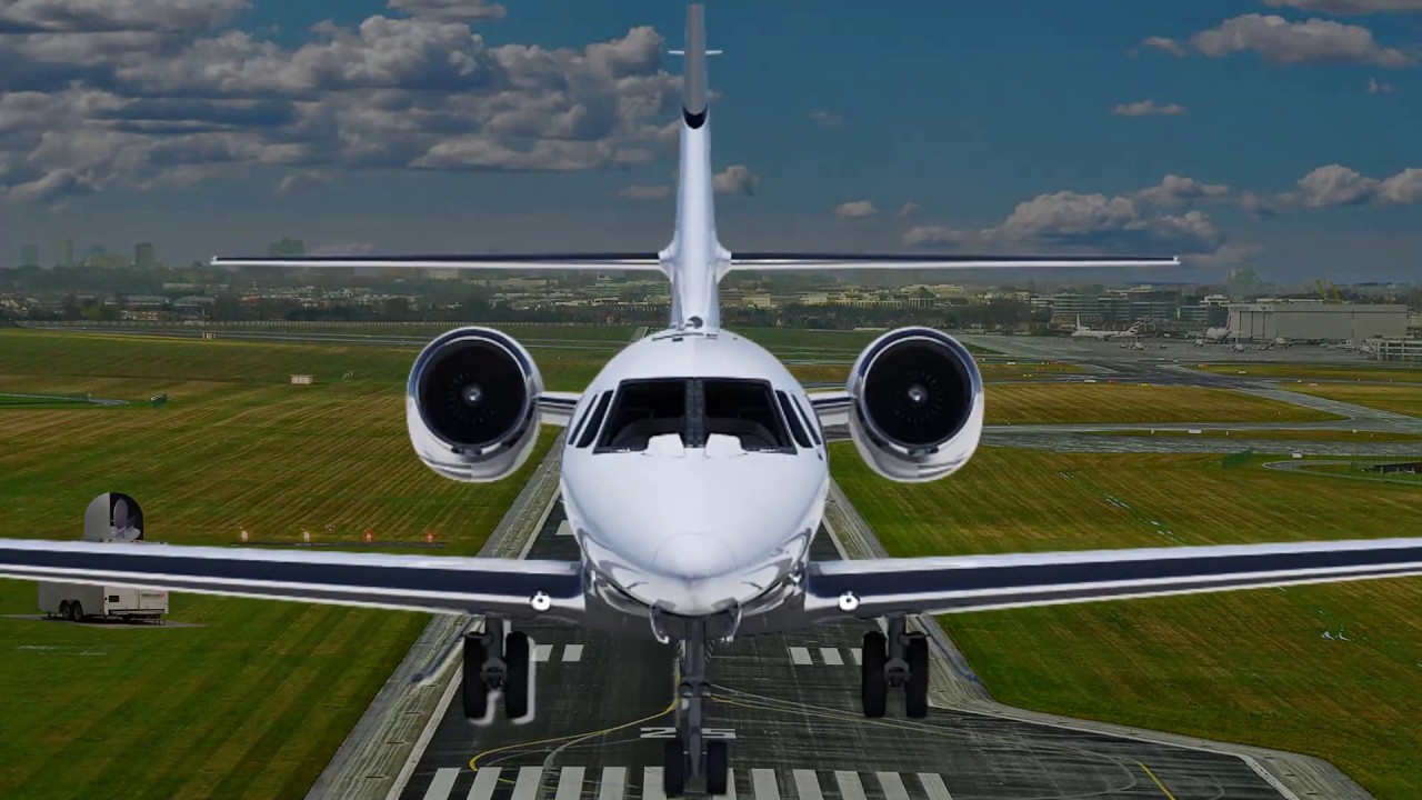 3D Bird Radar System