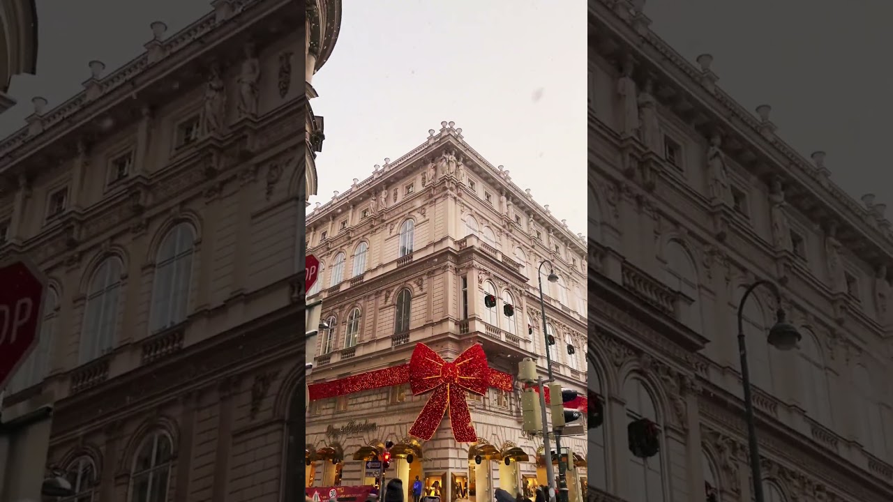 Vienna❄️