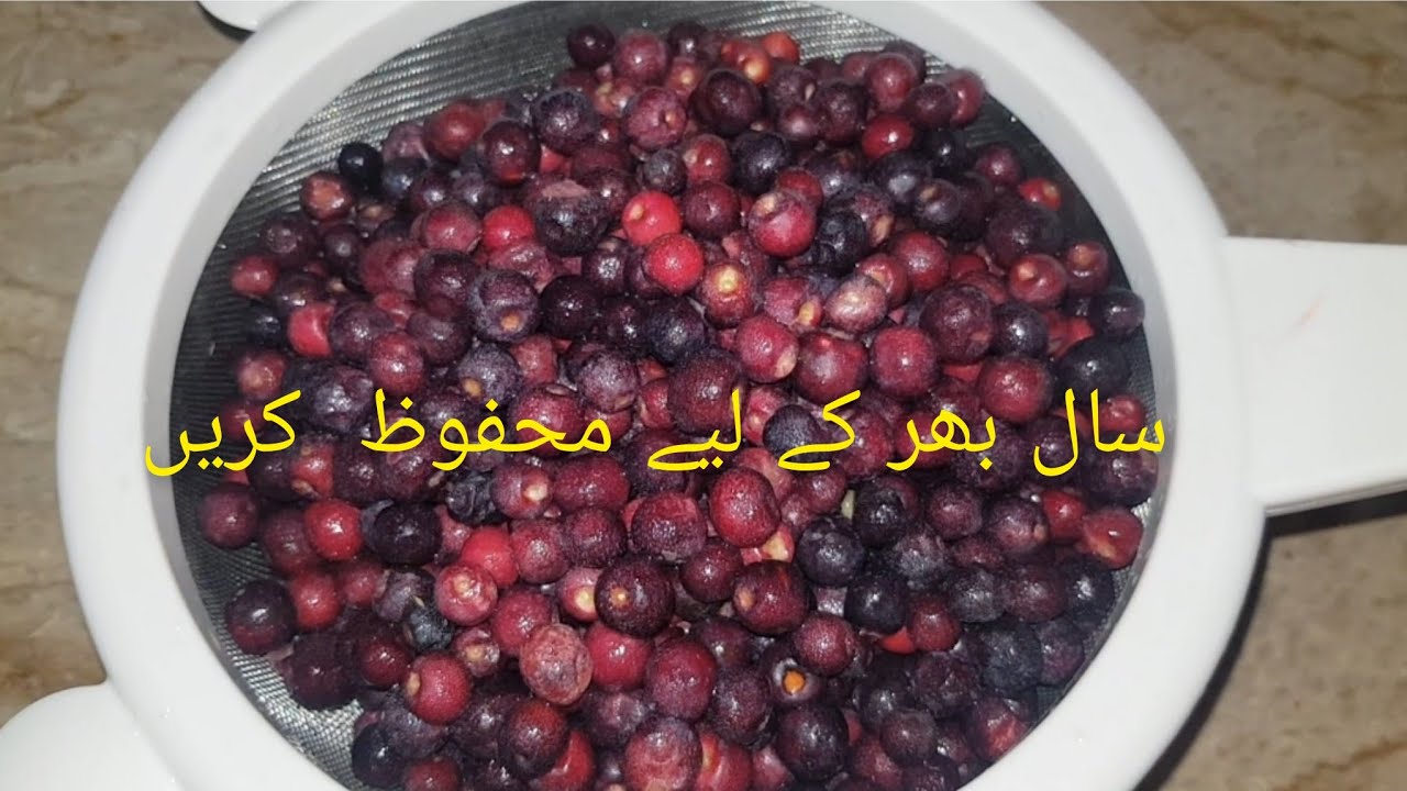 How to store Falsa for long time..فالسہ محفوظ کریں پورے سال کے لیے  | By Bina's Little World.