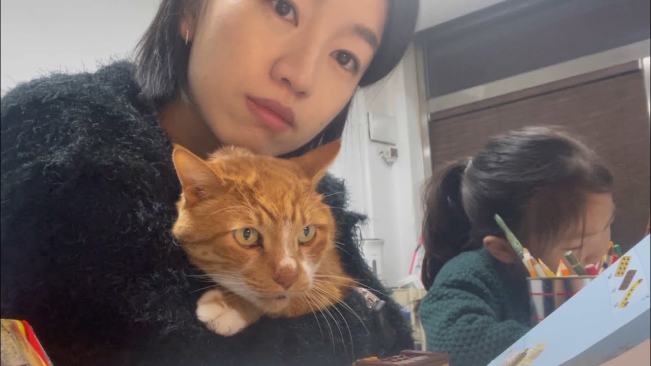 집수니 딸 키우는 고양이집사네 브이로그_