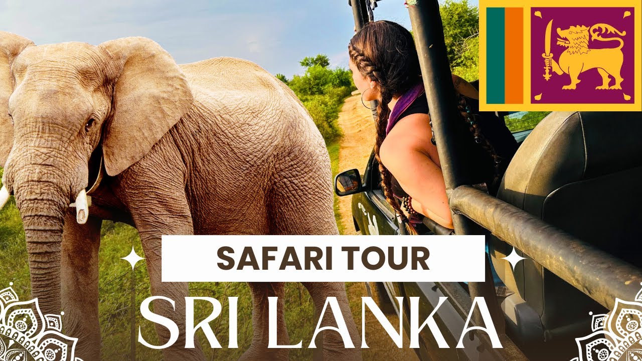 MOST EXPENSIVE THING WE DID IN SRI LANKA 🇱🇰 | Udawalawe National Park Safari in Sri Lanka
