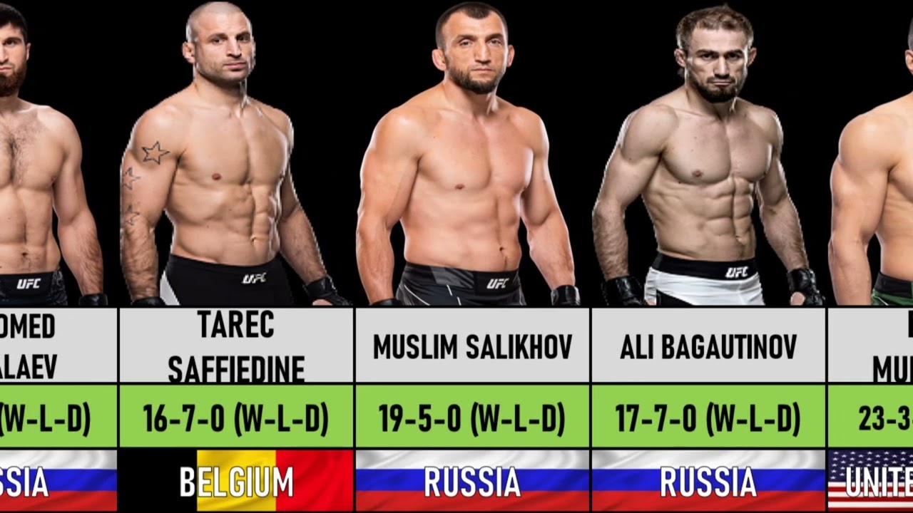 Top 30 Best UFC Muslim Fighters in the World in 2024