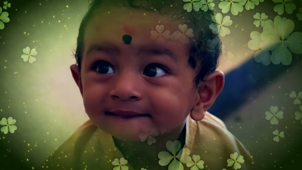 Birthday Celebrations Full video