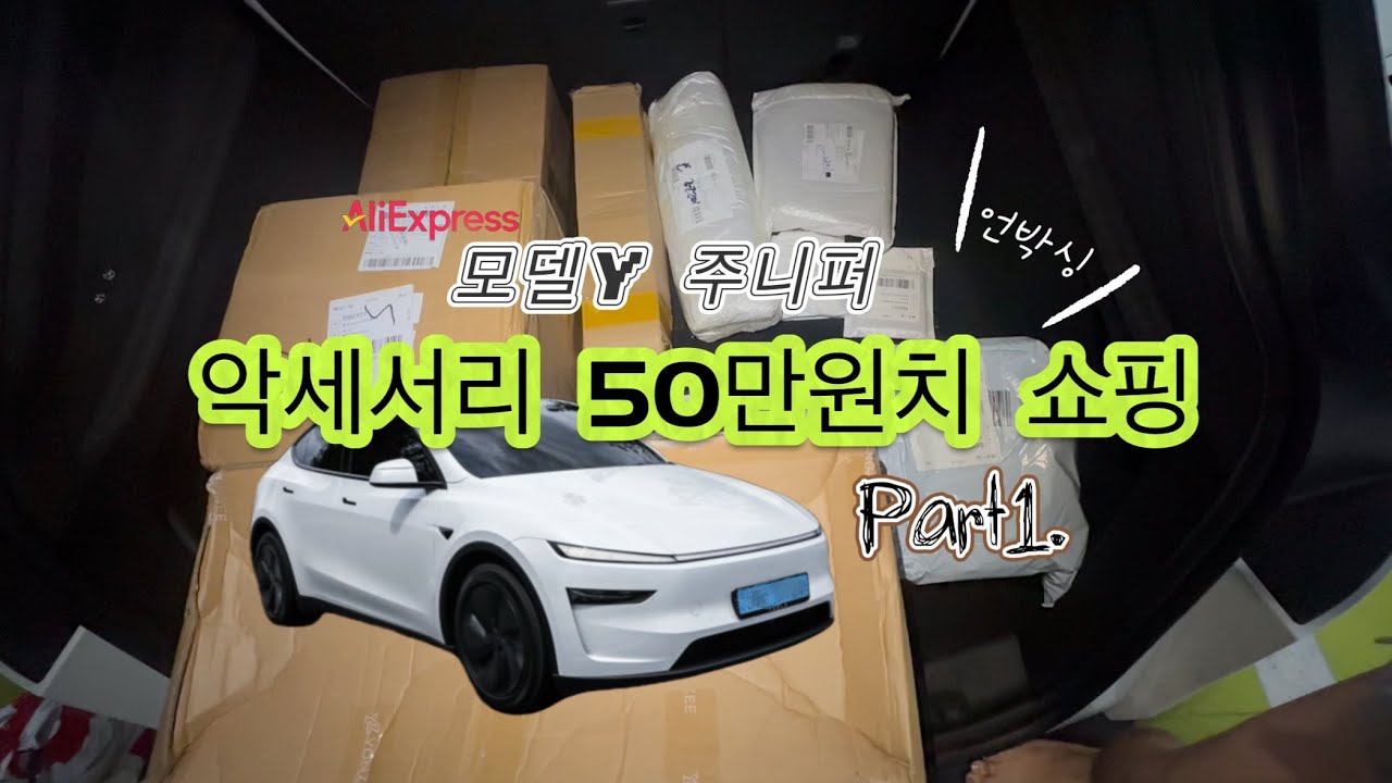 테슬라 주니퍼Y 악세사리 50만원치 쇼핑하기🛒 part1.알리지옥에서 언박싱 같이하자🔥🔥