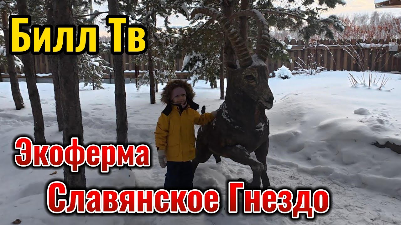 Новогодние Каникулы в Каменск - Уральске Экоферма Славянское - Гнездо