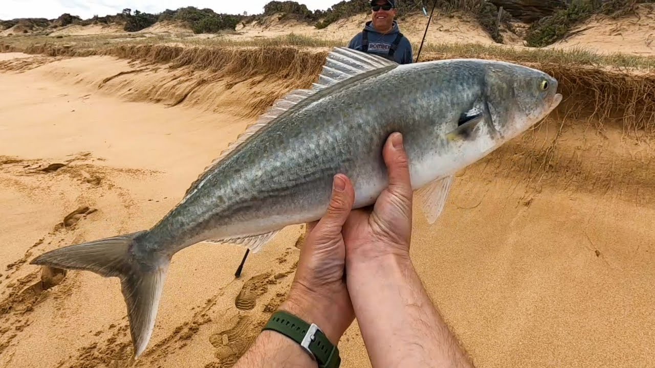 Searching for Big Salmon at Gunnamatta Beach