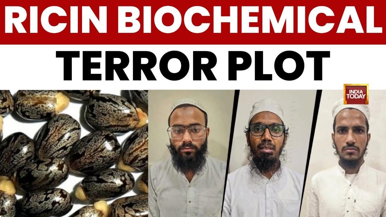 Gujarat Terror: ATS Reveals ISIS-Linked Biochemical Plot Using Ricin; Weapons and Chemicals Seized