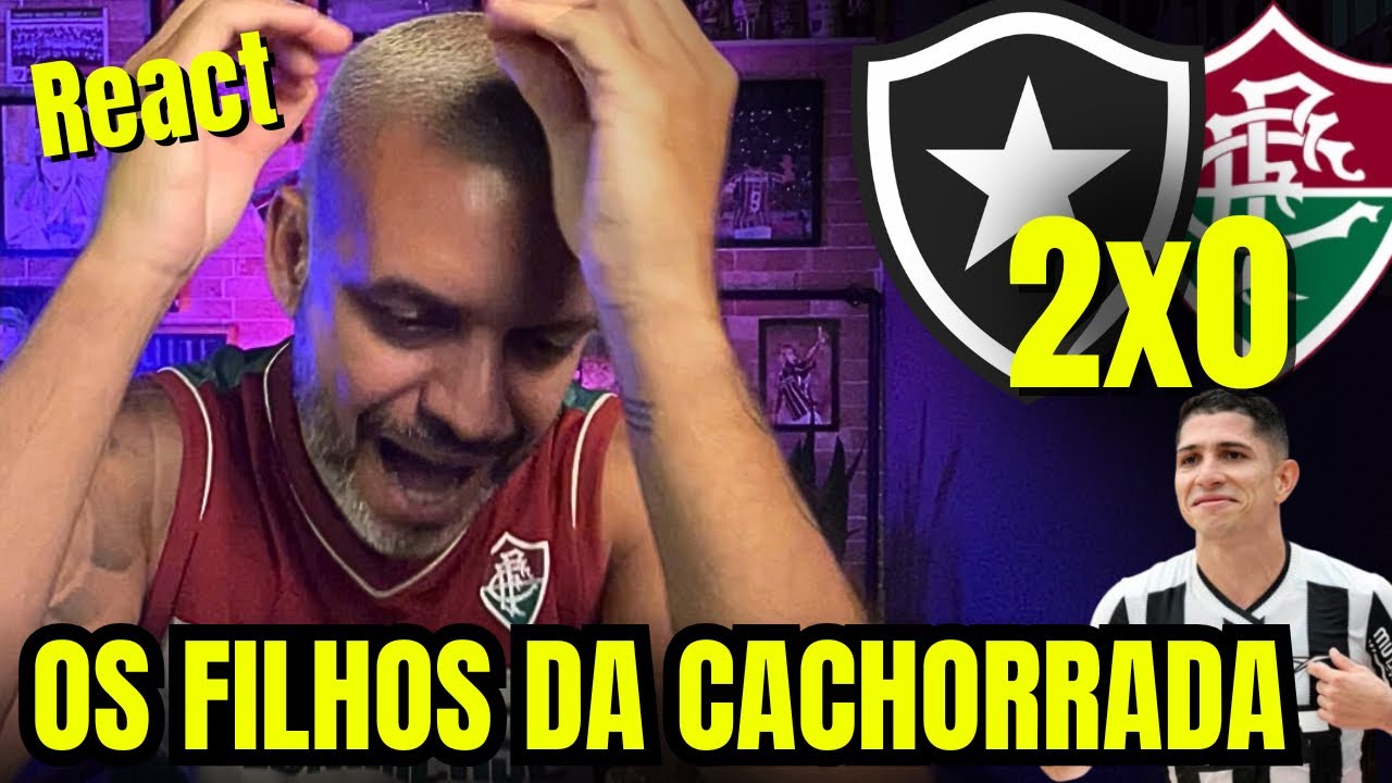 React melhores momentos Botafogo 2x0 Fluminense | É OFICIAL, somos filhos da cachorrada!