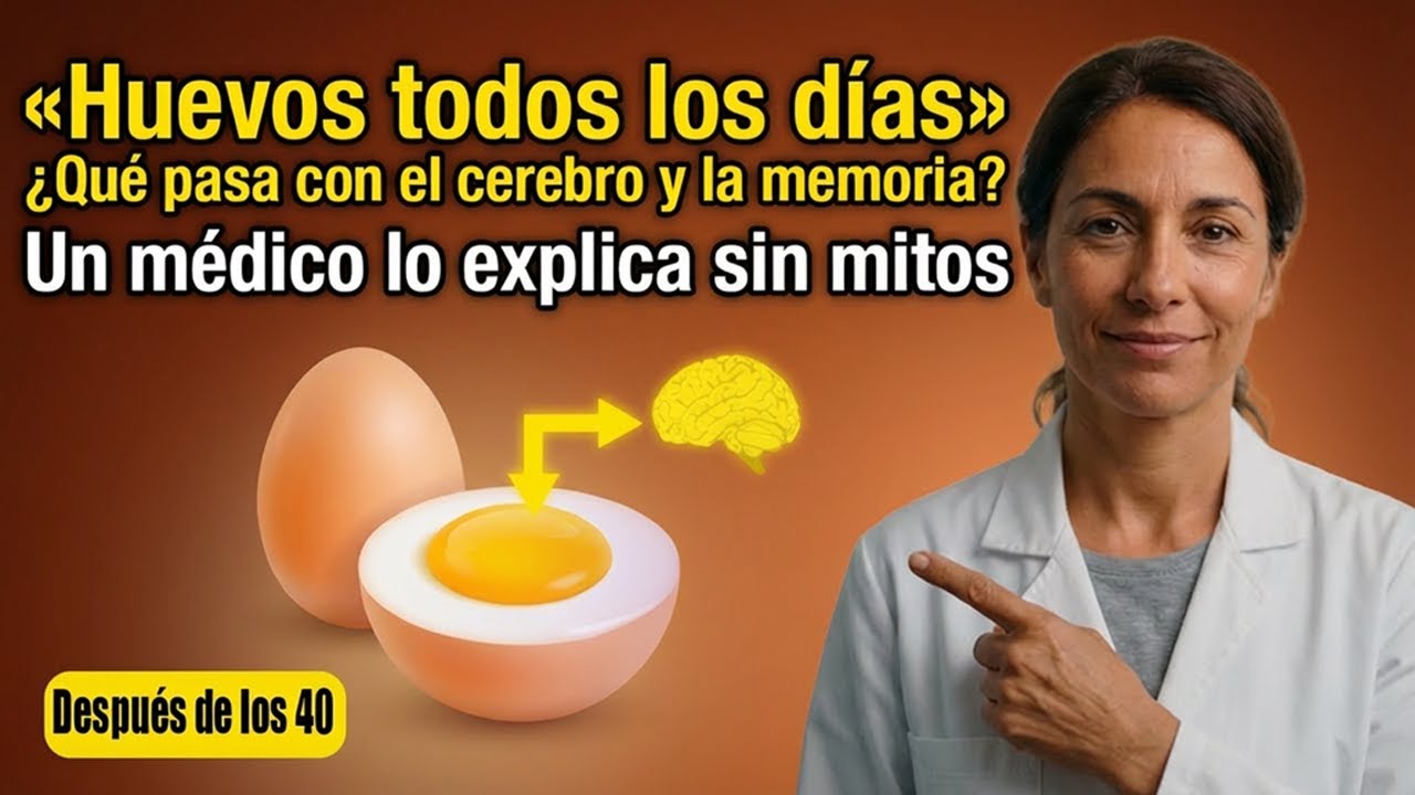 ¿Qué pasa si comes huevos todos los días? ¿Es bueno o malo? Análisis completo