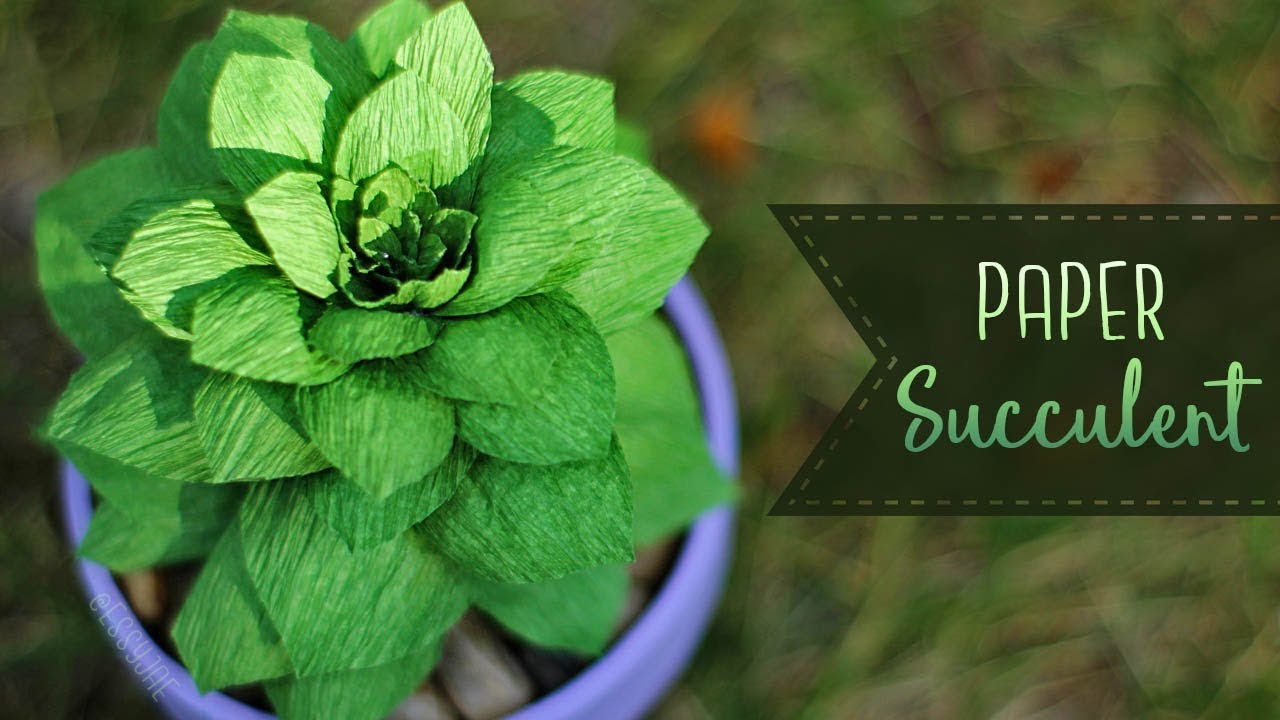 How To Make A Crepe Paper Succulent