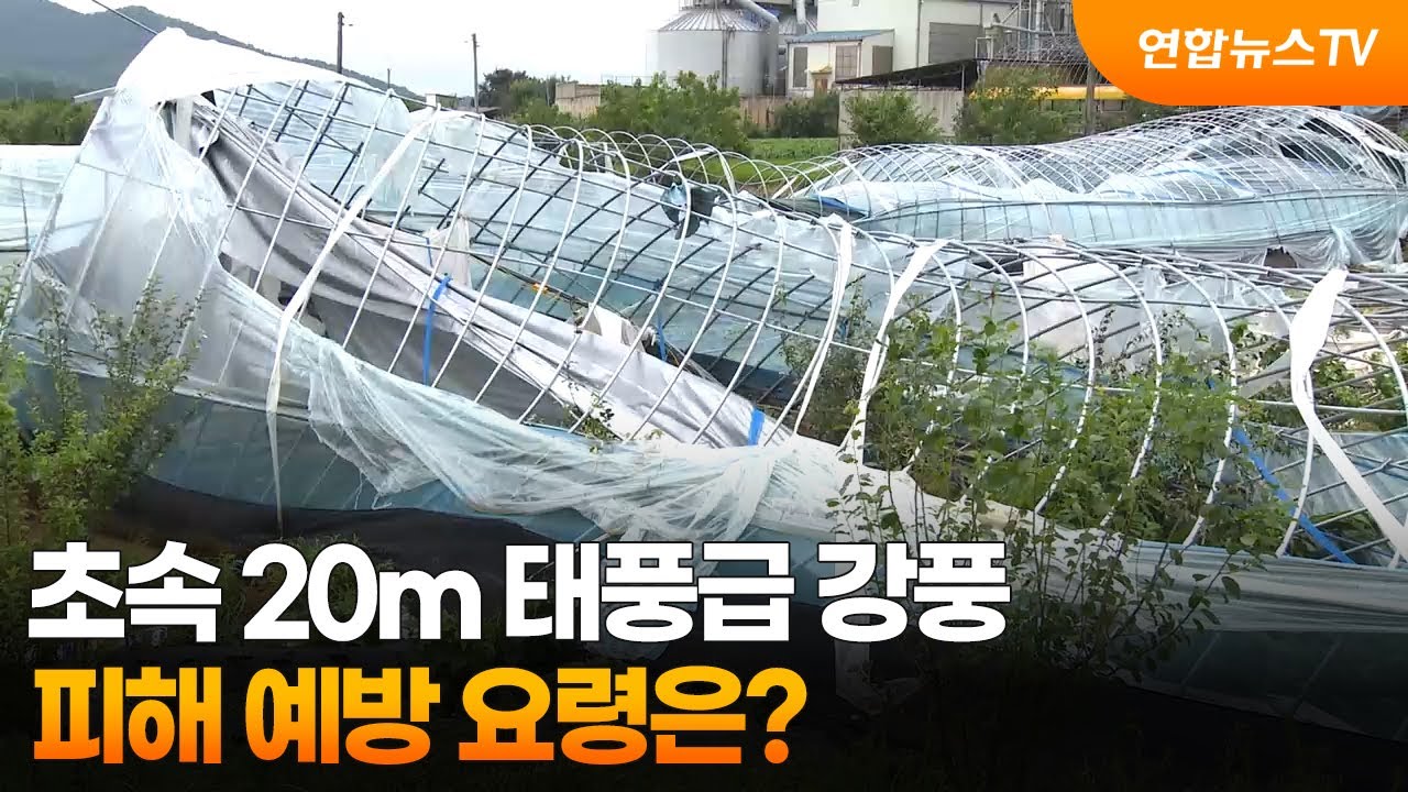 초속 20m 태풍급 강풍&hellip;피해 예방 요령은? / 연합뉴스TV (YonhapnewsTV)