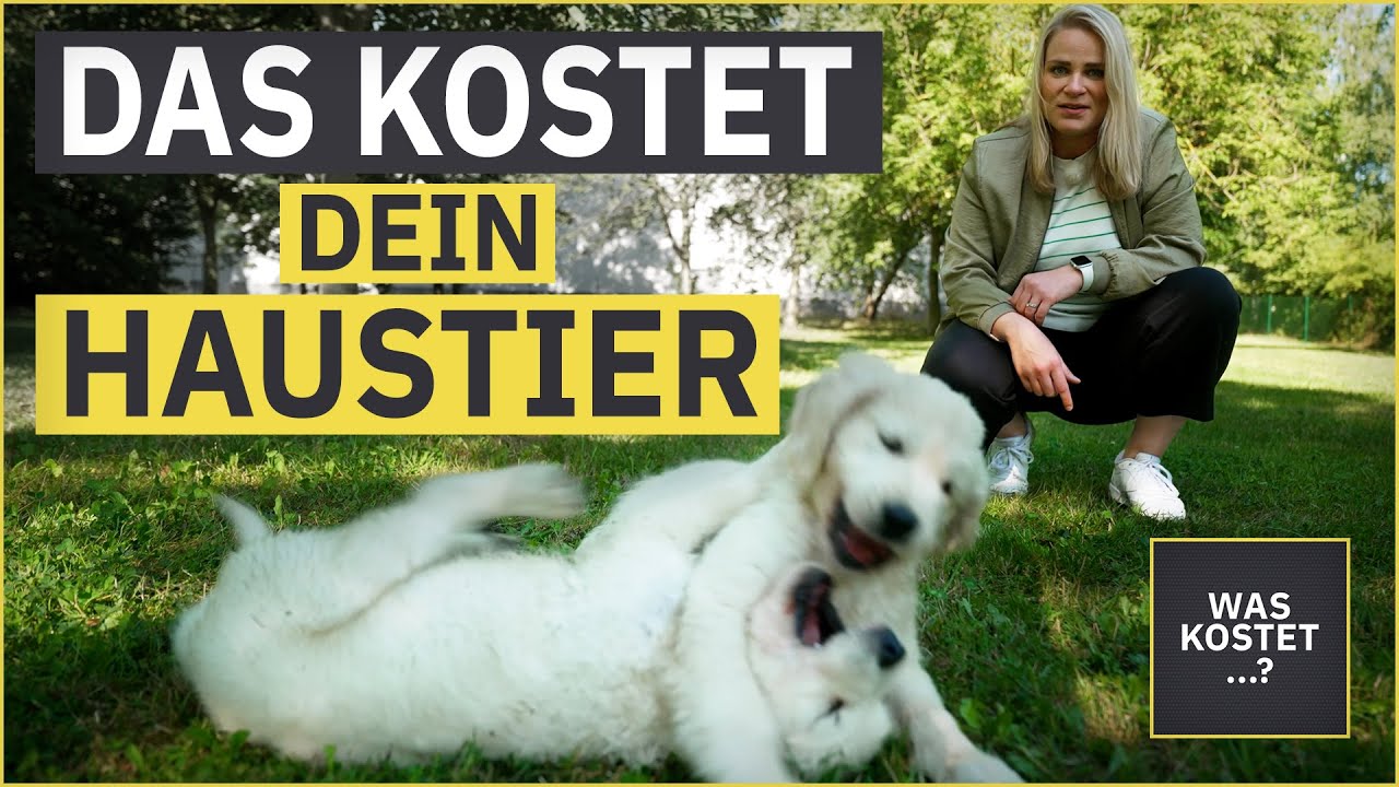 Das kosten dich HUND, KATZE und Maus! 🐶🐱🐹 | WAS KOSTET...? | MDR