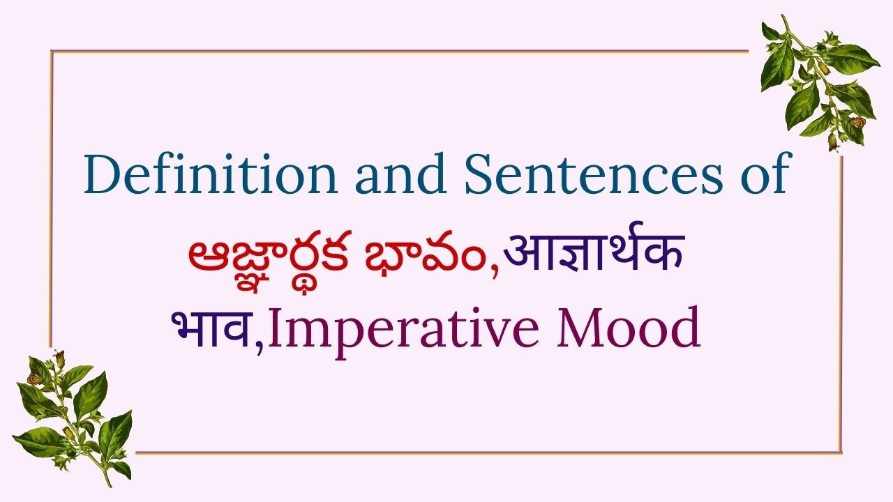 Definition and Sentences of Imperative Mood