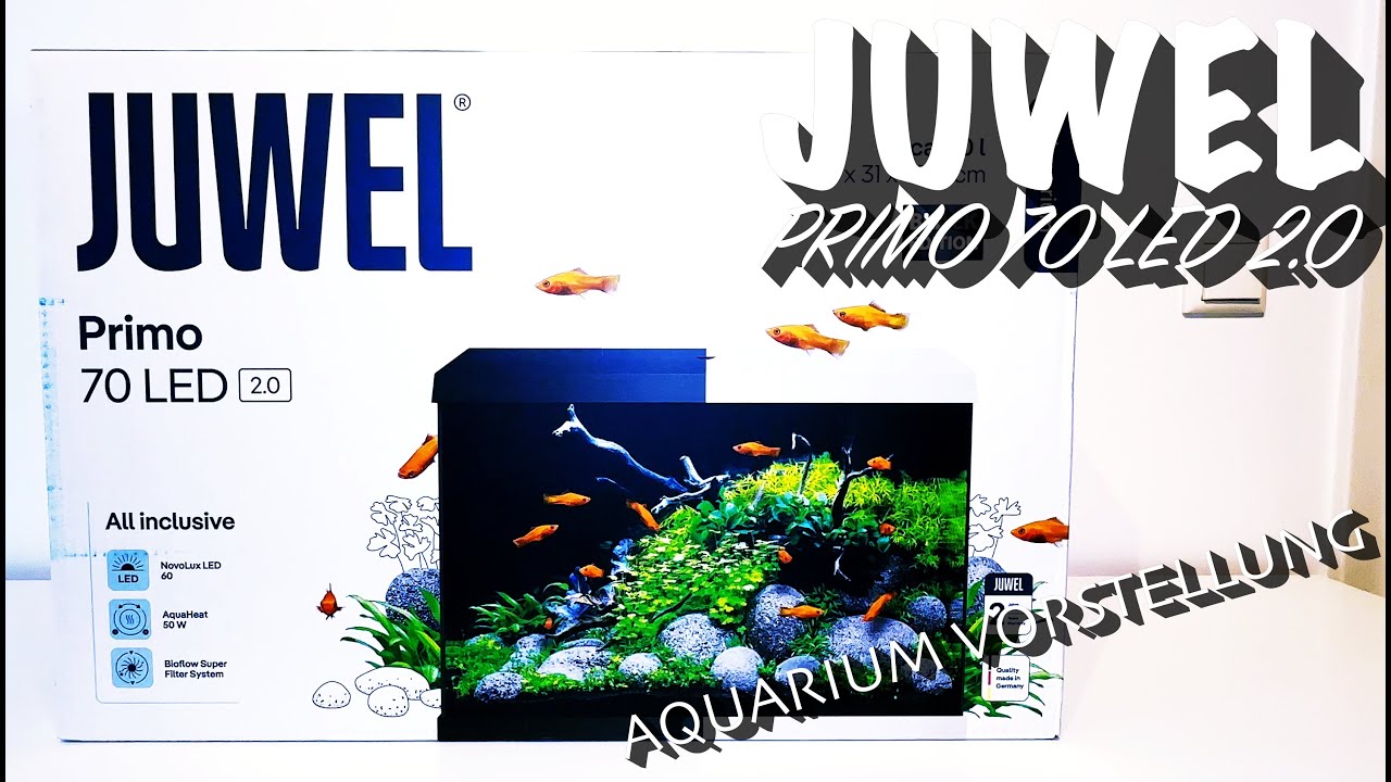 Juwel Primo 70 LED 2.0 - Aquarium Vorstellung