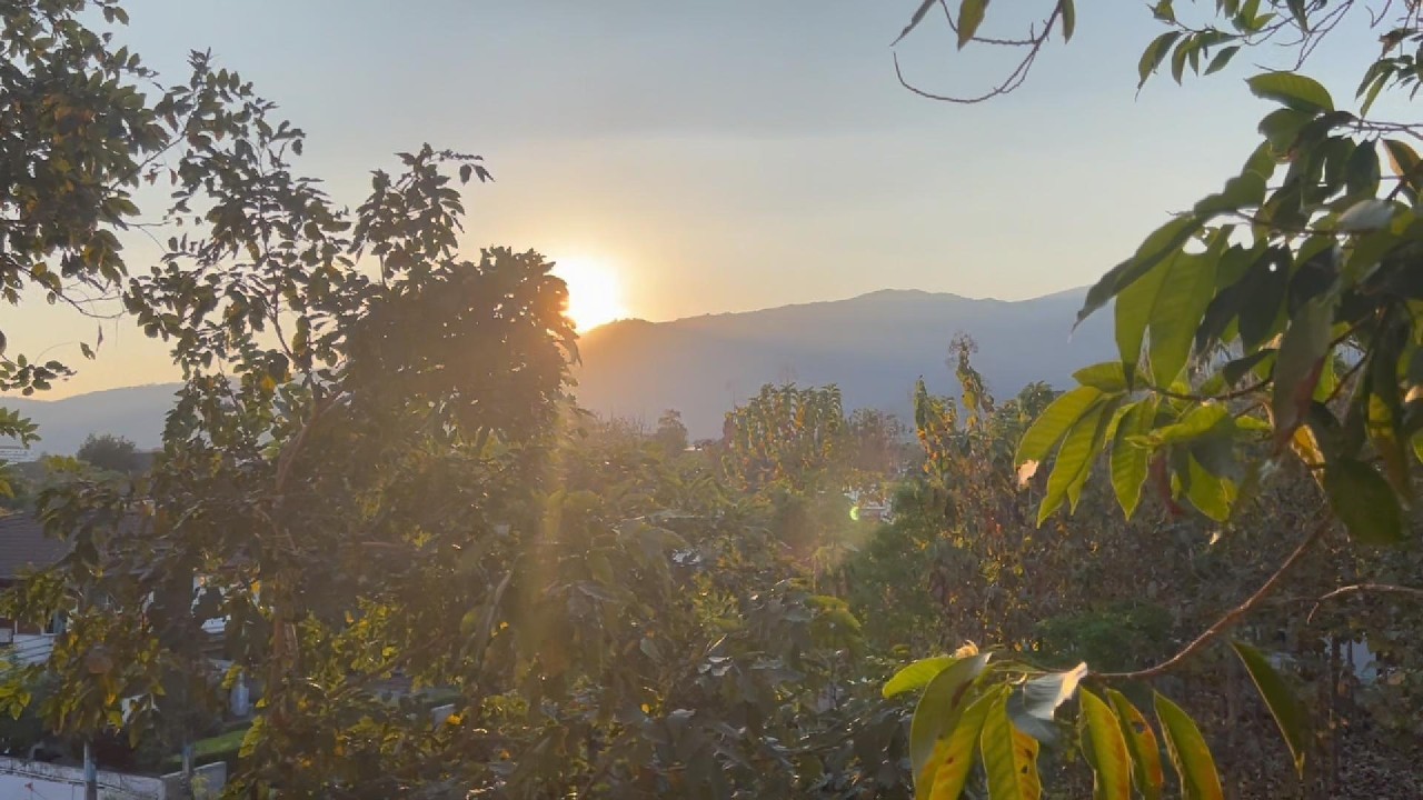 Morning Sunrise Serenity 🌄 | Peaceful Nature with Trees & Flowing Stream