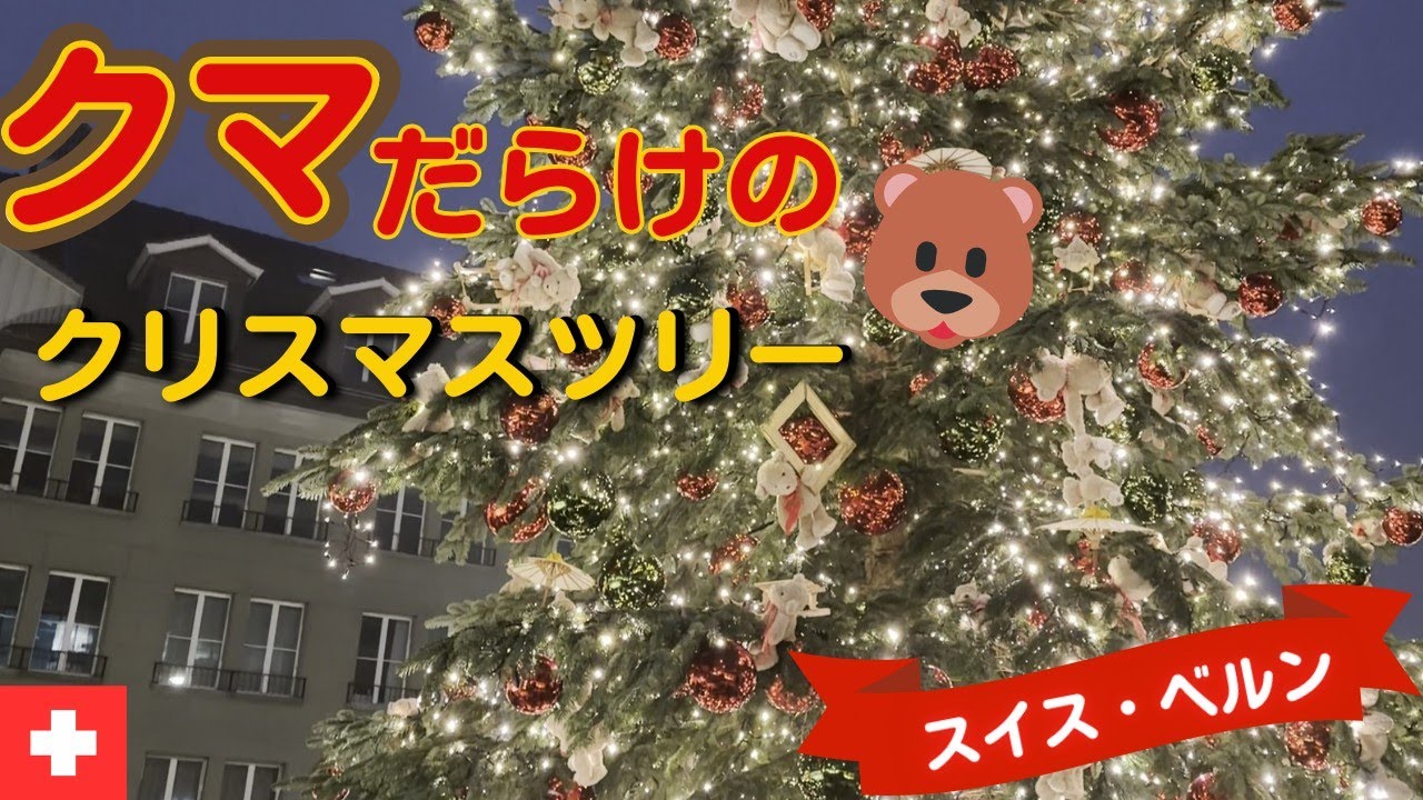 【スイス暮らし】【国際結婚】同じスイス、全然違う…/チューリッヒとベルン、クリスマスマーケットの違いが衝撃的だった