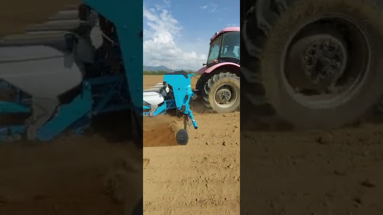 Zetor proxima 75 + güngör Agri Anka 4 (Setva suncokreta) Seidba na soncogled sunflower 2022