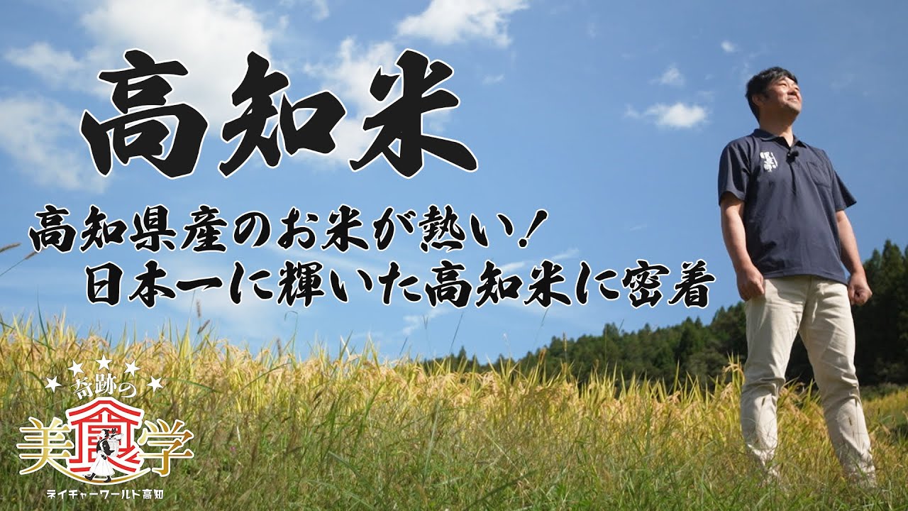 今熱い！日本一に輝いた高知米に密着【奇跡の美食学】
