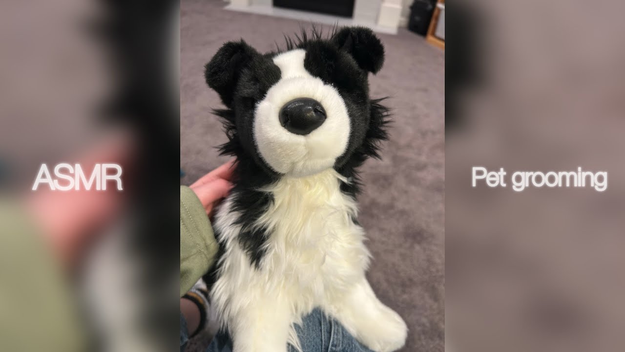 ASMR|Pet Grooming|Not Very Good…|@Milo_VlogZ_OFFICIAL