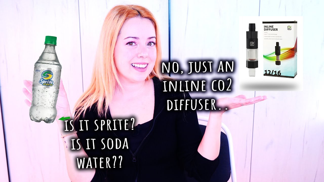 Great for plants, but can you even stand it?? 🤔 CO2 Art Inline Diffuser Review (Not Sponsored)